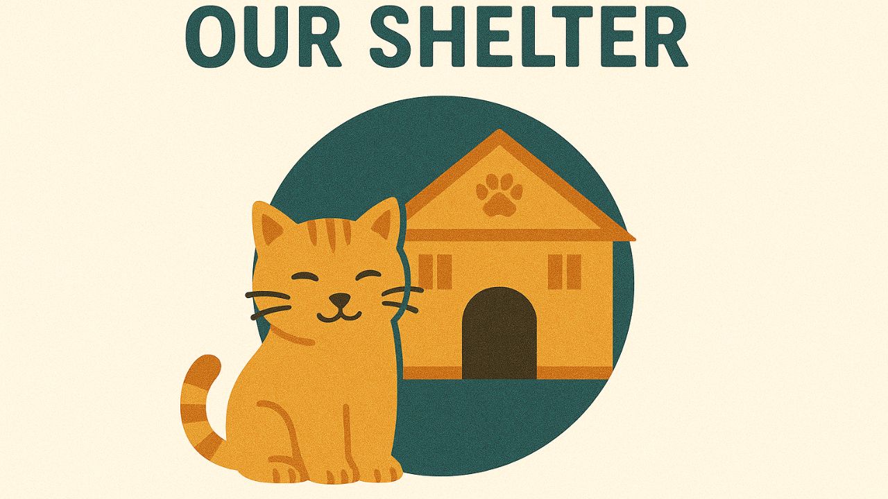 Our Shelter